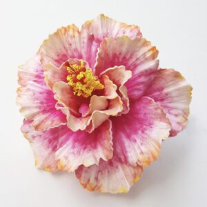 tia hibiscus flower head 4.92 inch 12.5 cm (copy)