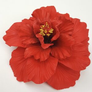 tia hibiscus flower head 4.92 inch 12.5 cm