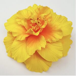 tia hibiscus flower head 4.92 inch 12.5 cm