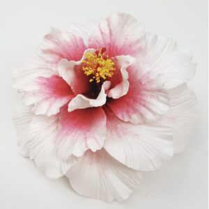 tia hibiscus flower head 4.92 inch 12.5 cm (copy)