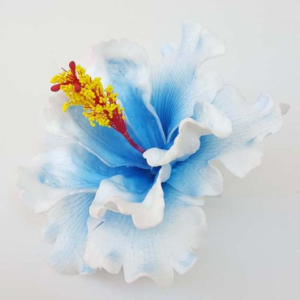 blue white aute