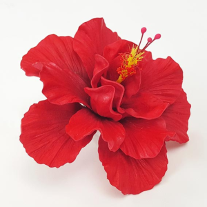red aute