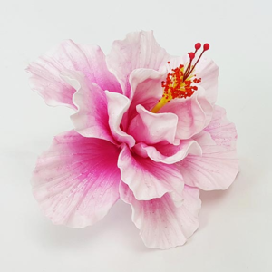 white pink aute