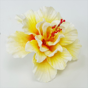 white yellow aute